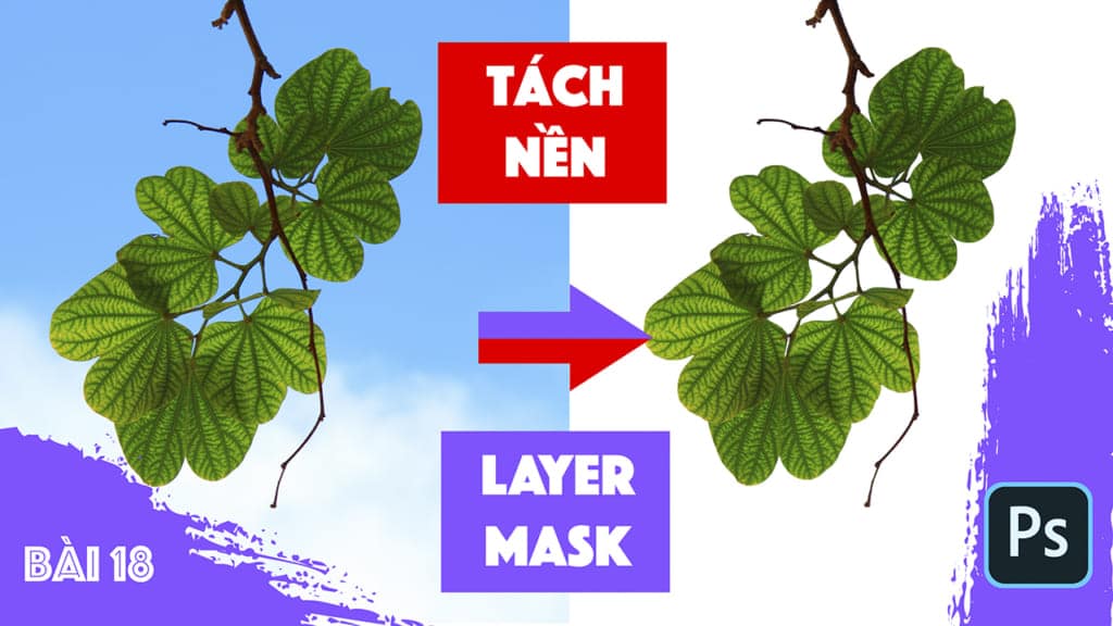 Cách dùng Layer Mask trong Photoshop